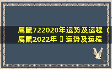 属鼠722020年运势及运程（属鼠2022年 ☘ 运势及运程每月运程1970年）